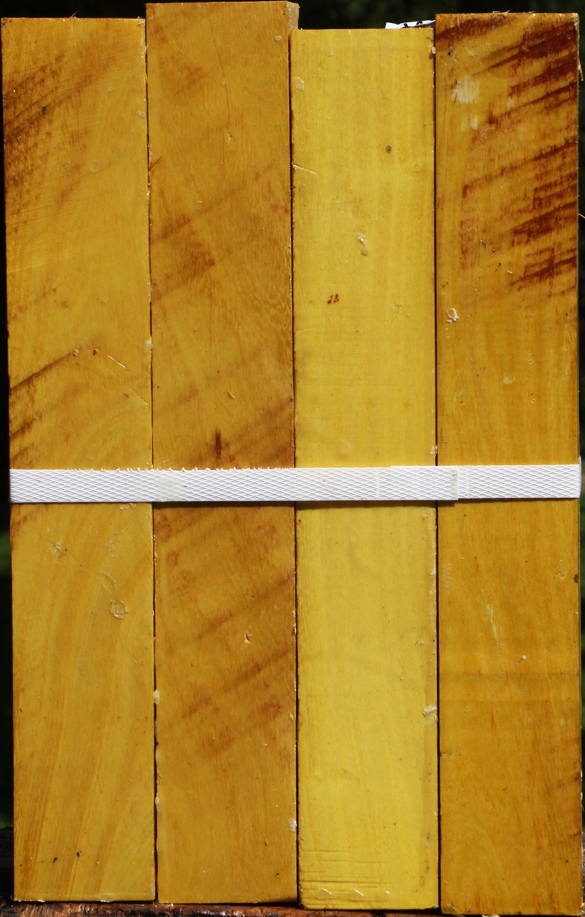 Osage Orange Turning Square 4 Pack