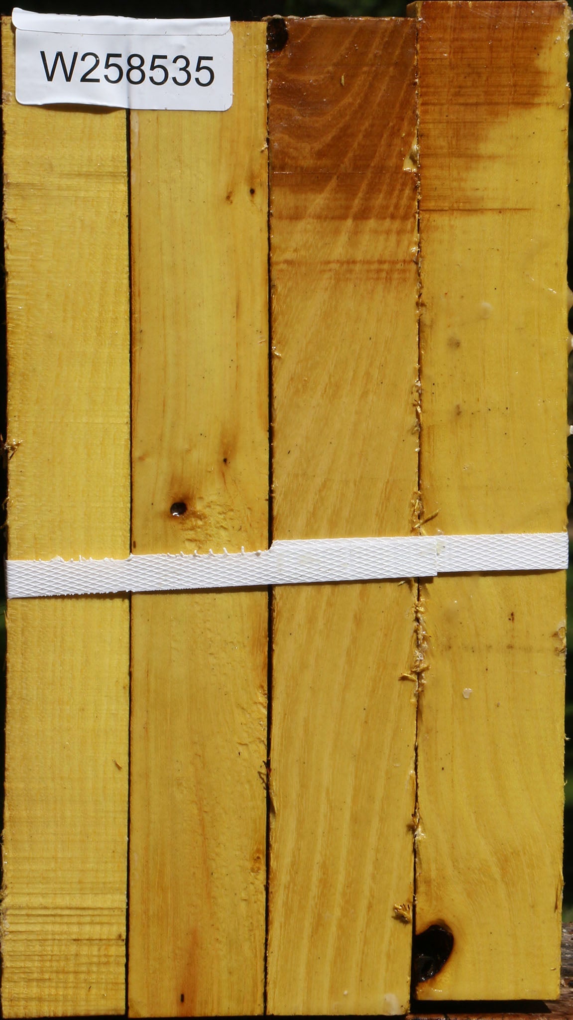 Osage Orange Turning Square 4 Pack