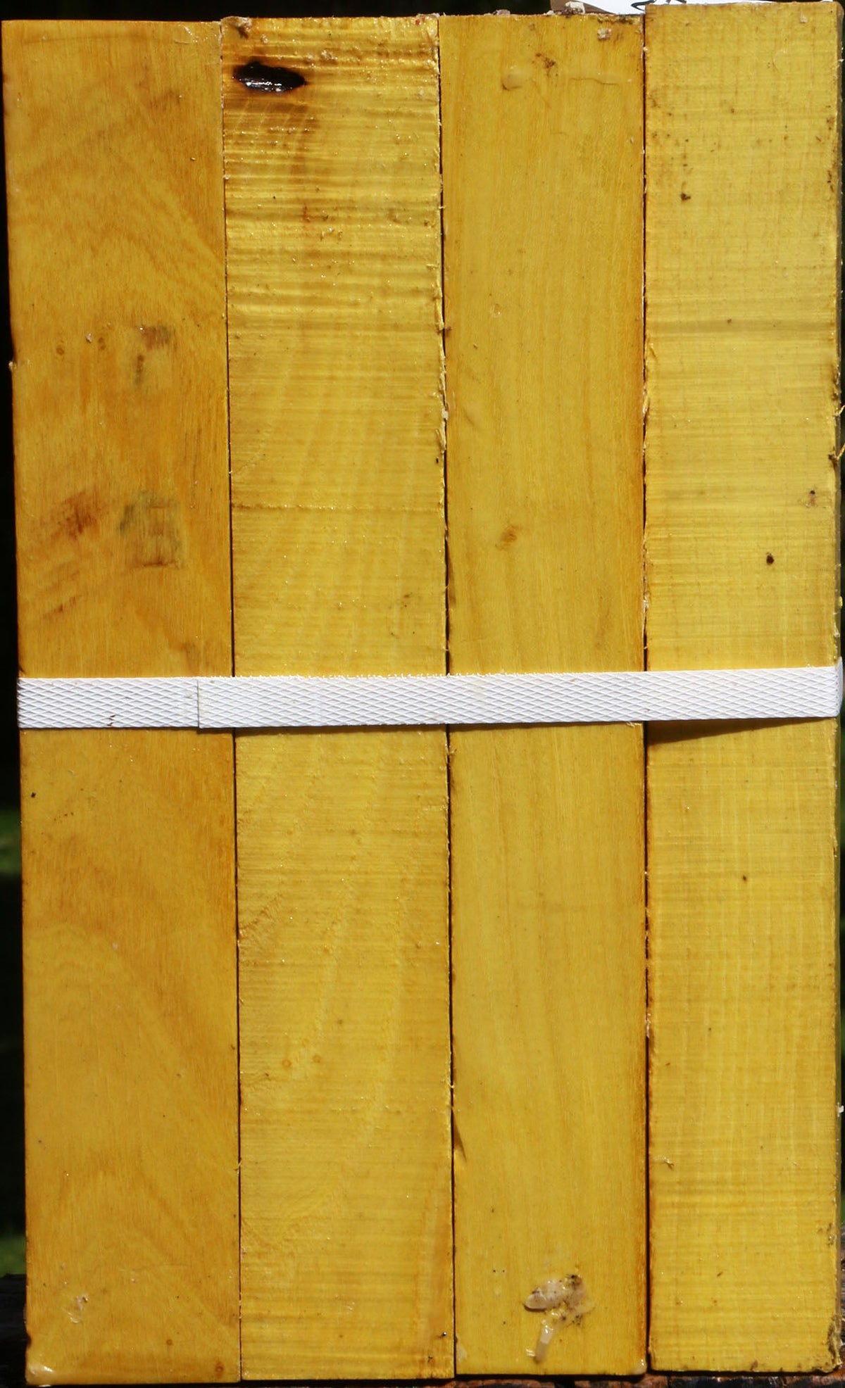 Osage Orange Turning Square 4 Pack