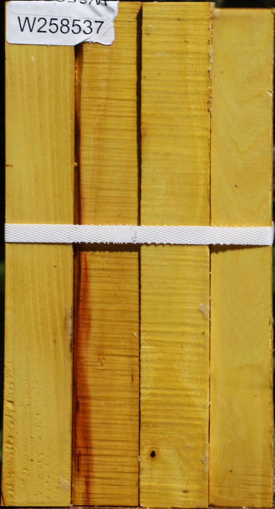Osage Orange Turning Square 4 Pack