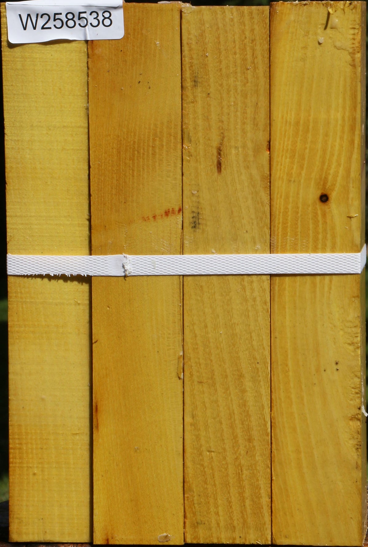 Osage Orange Turning Square 4 Pack