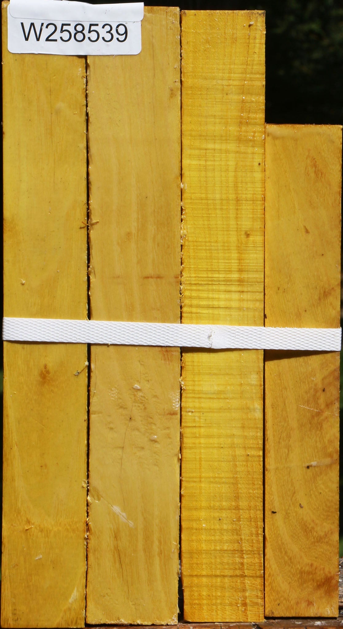 Osage Orange Turning Square 4 Pack