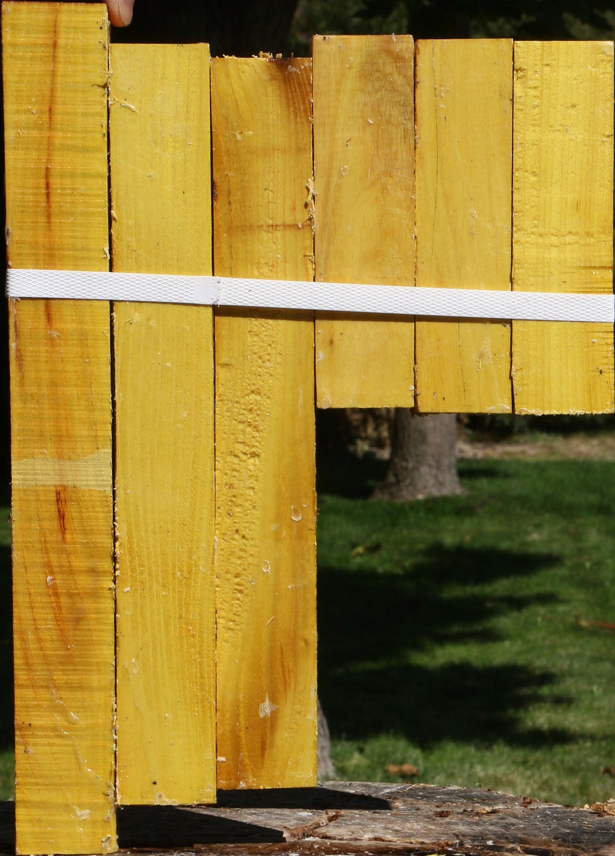 Osage Orange Turning Square 6 Pack