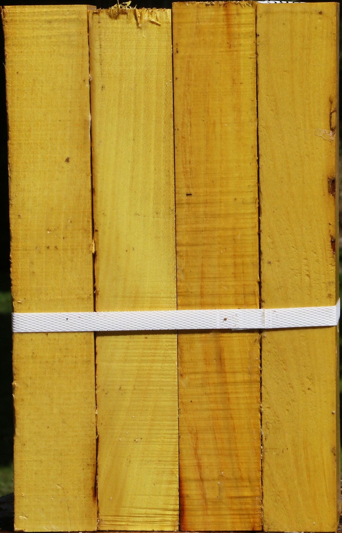 Osage Orange Turning Square 4 Pack