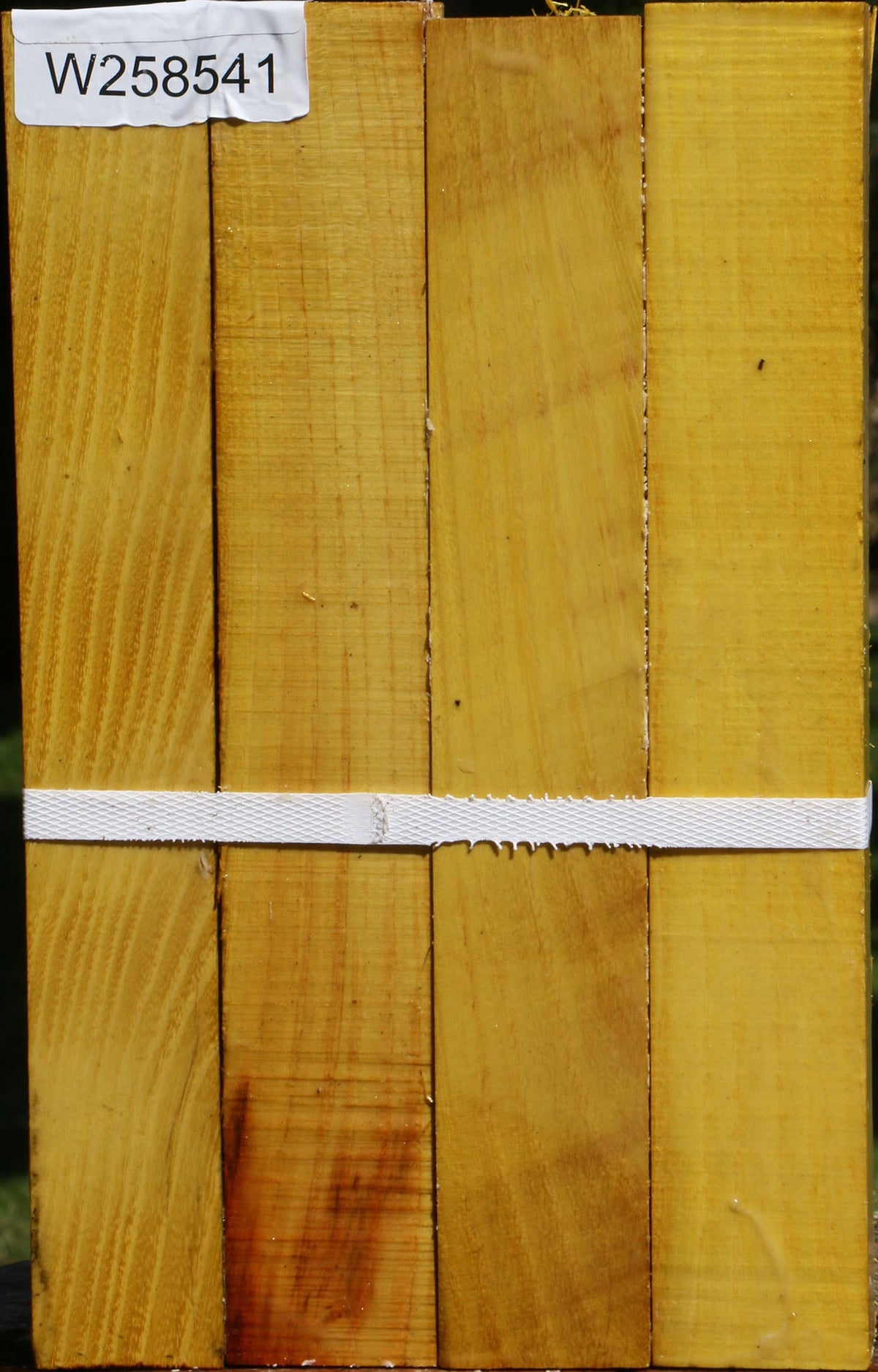 Osage Orange Turning Square 4 Pack