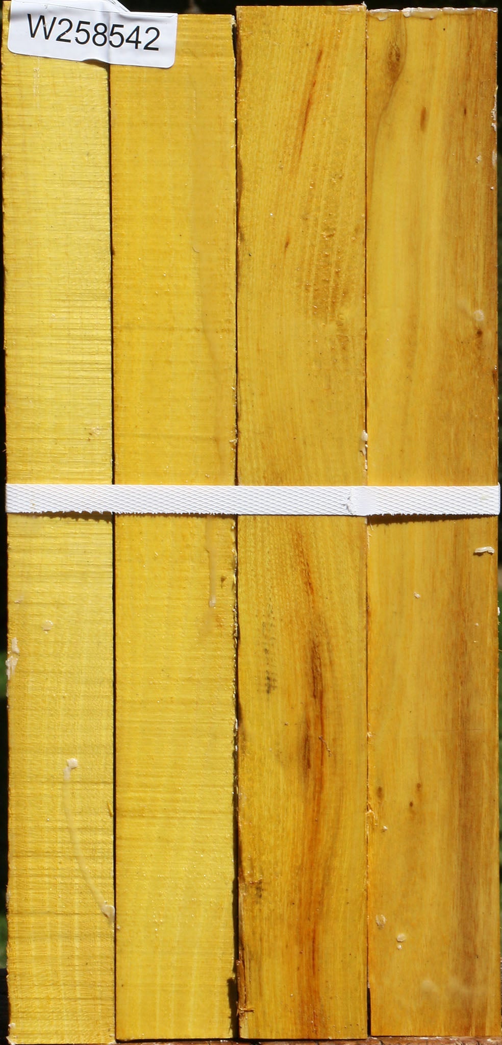 Osage Orange Turning Square 4 Pack