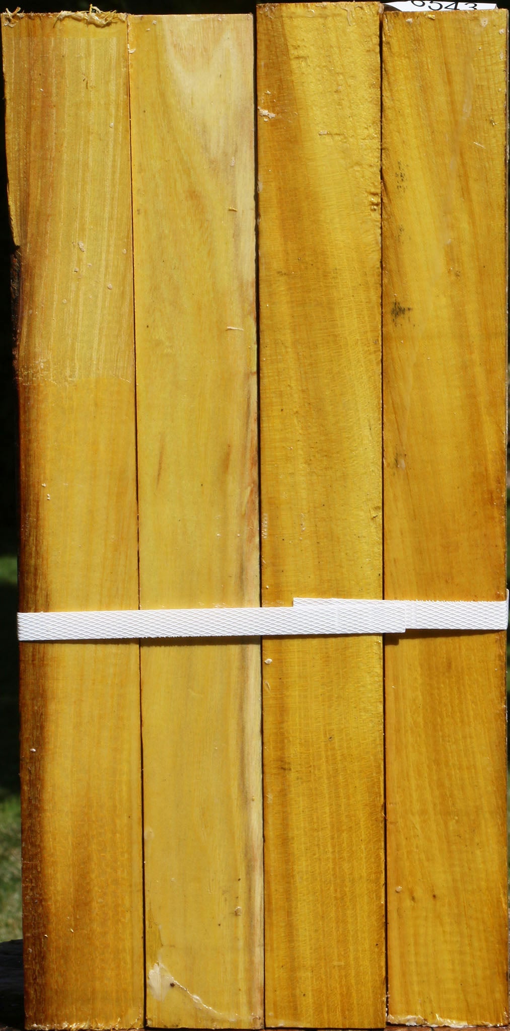 Osage Orange Turning Square 4 Pack
