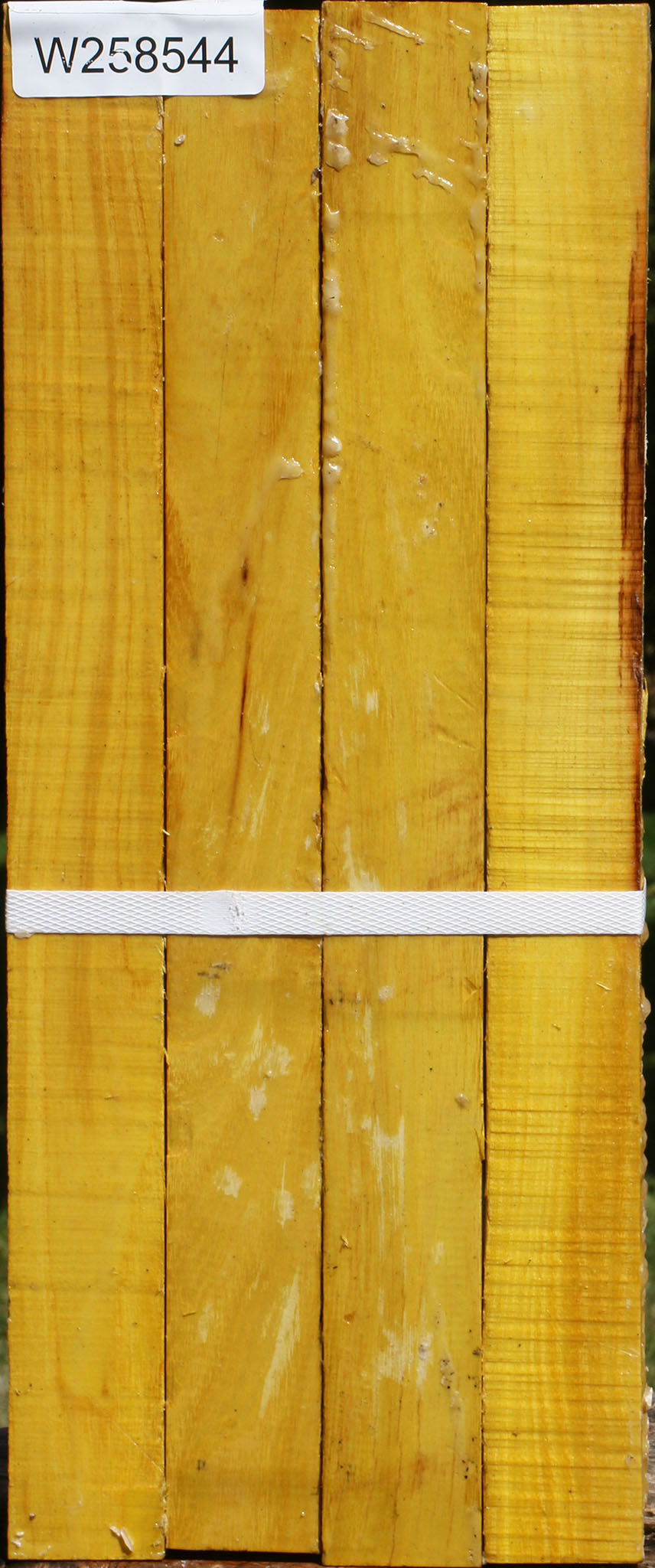 Osage Orange Turning Square 4 Pack
