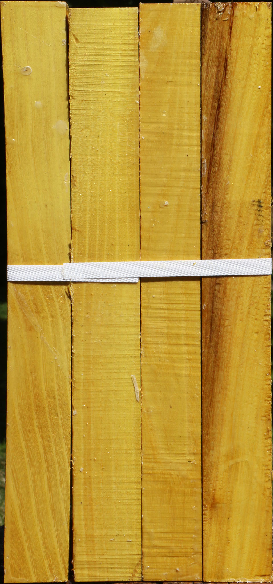 Osage Orange Turning Square 4 Pack