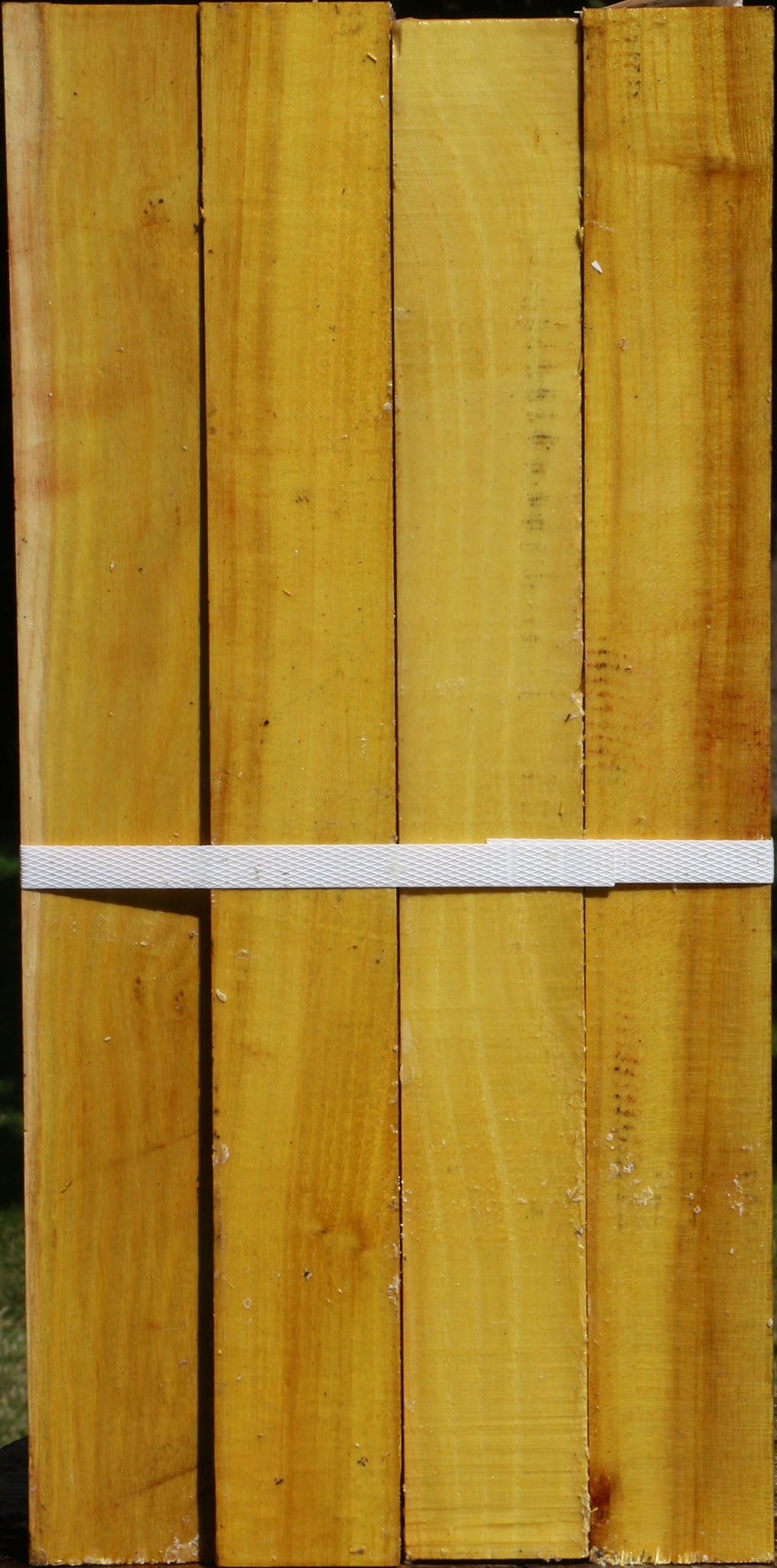 Osage Orange Turning Square 4 Pack