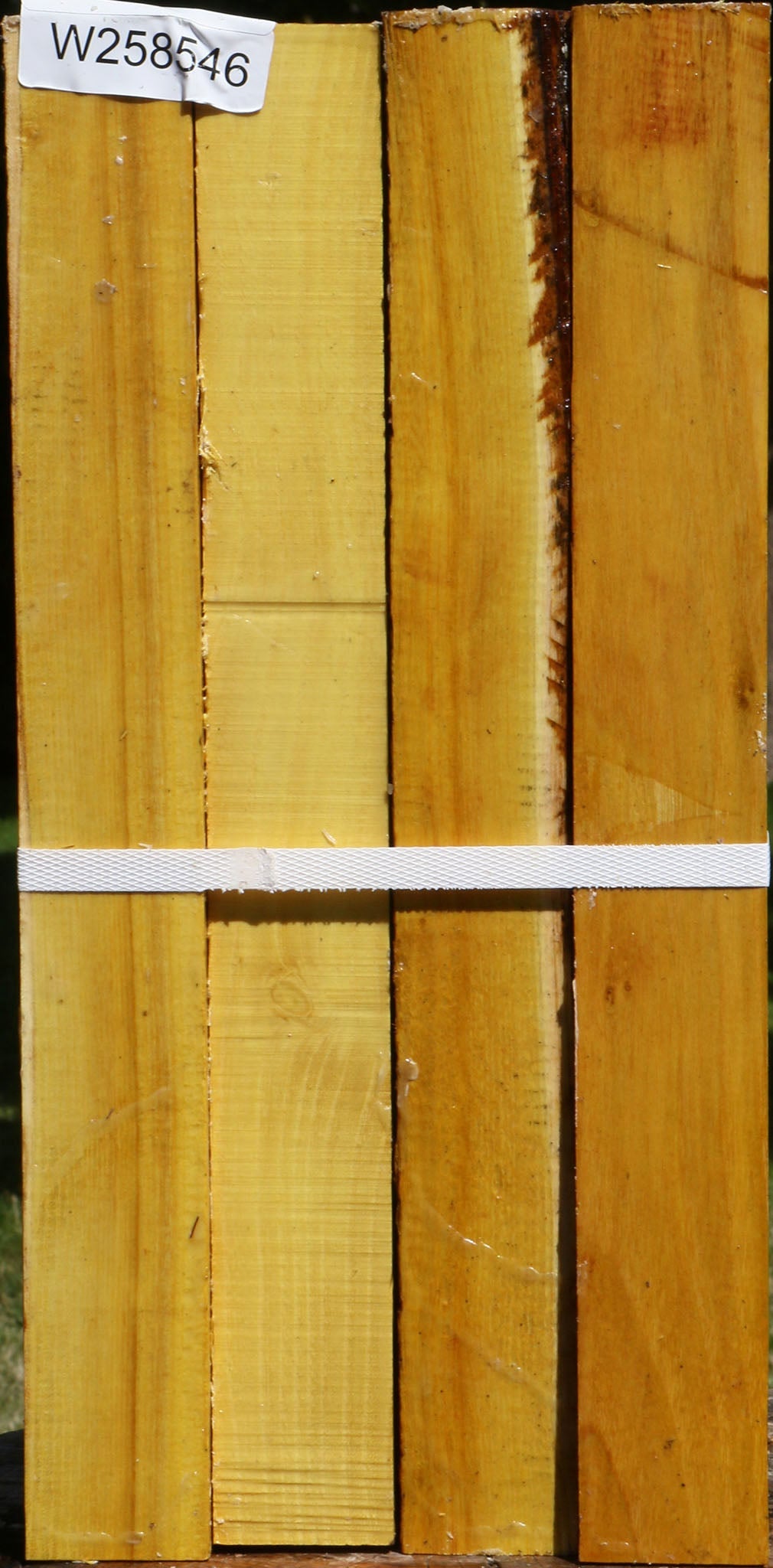 Osage Orange Turning Square 4 Pack