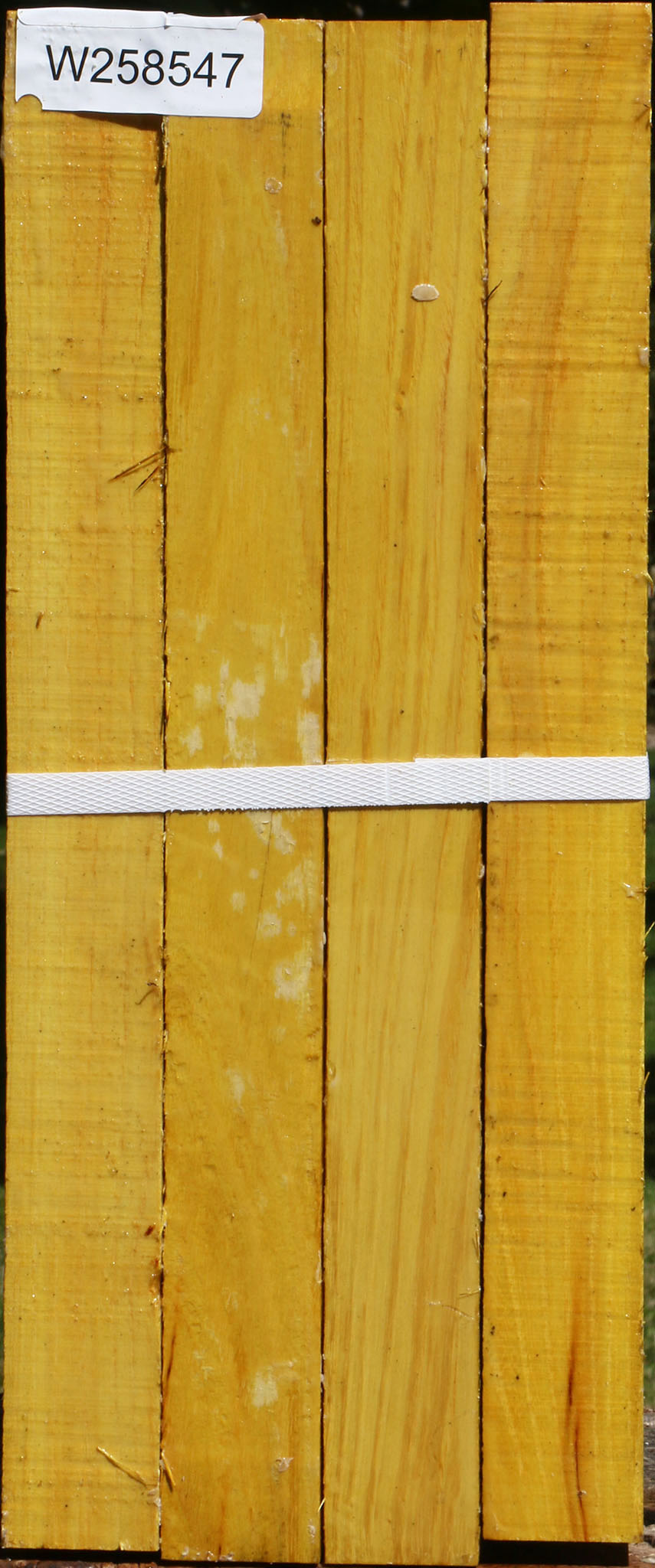 Osage Orange Turning Square 4 Pack