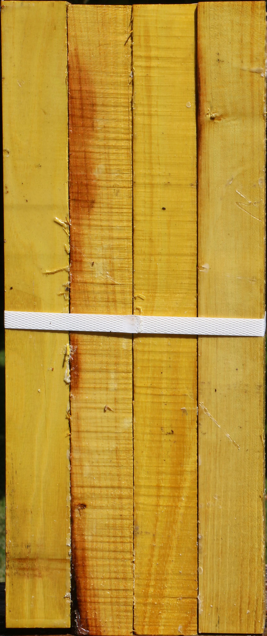 Osage Orange Turning Square 4 Pack
