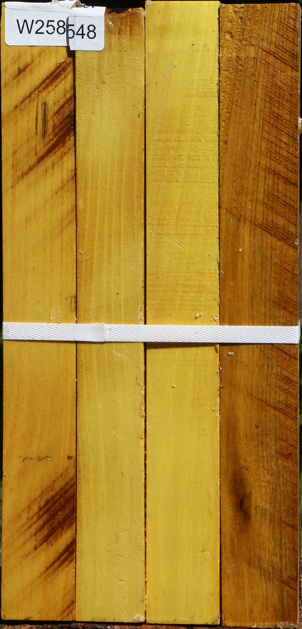 Osage Orange Turning Square 4 Pack