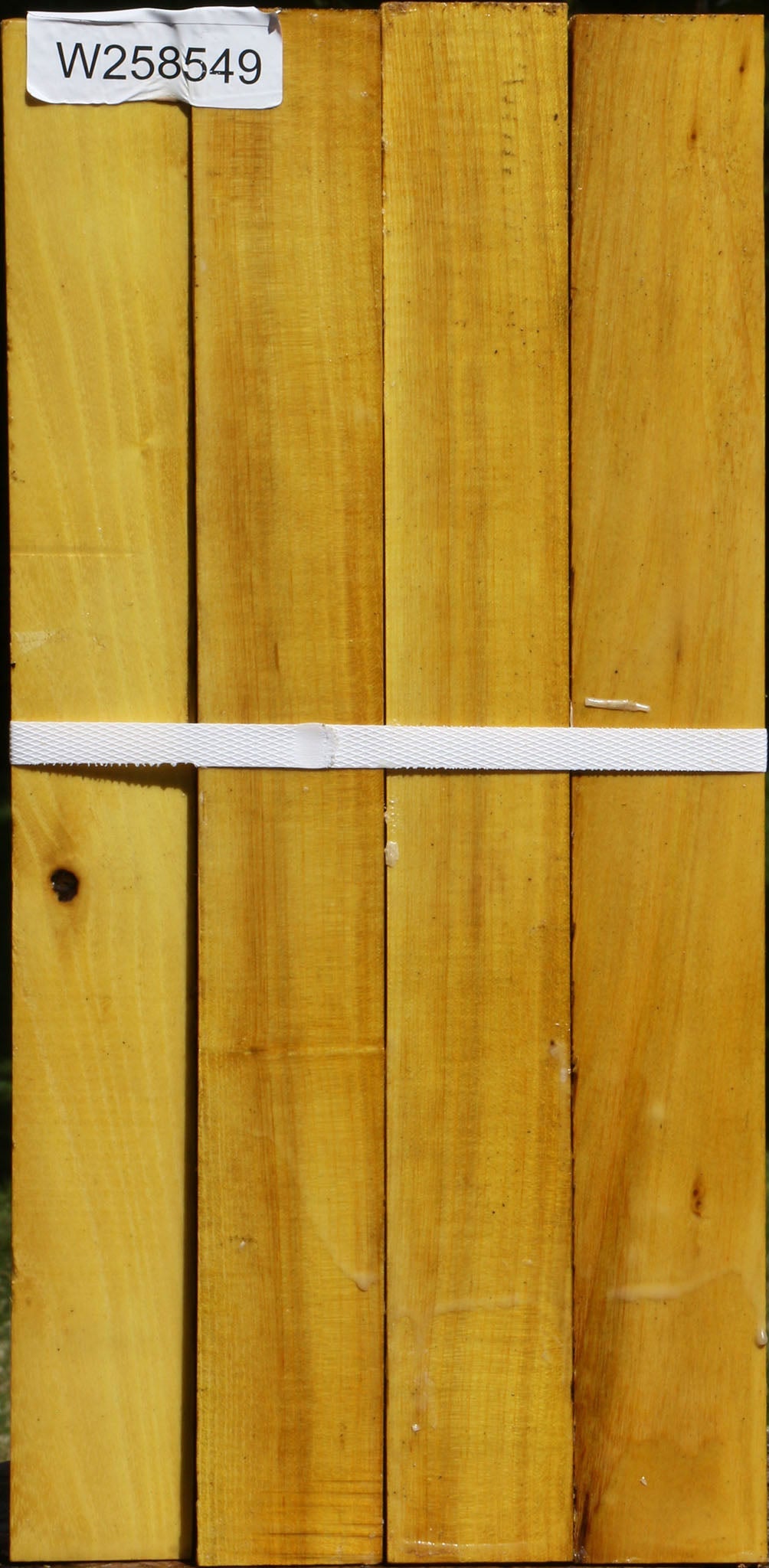Osage Orange Turning Square 4 Pack
