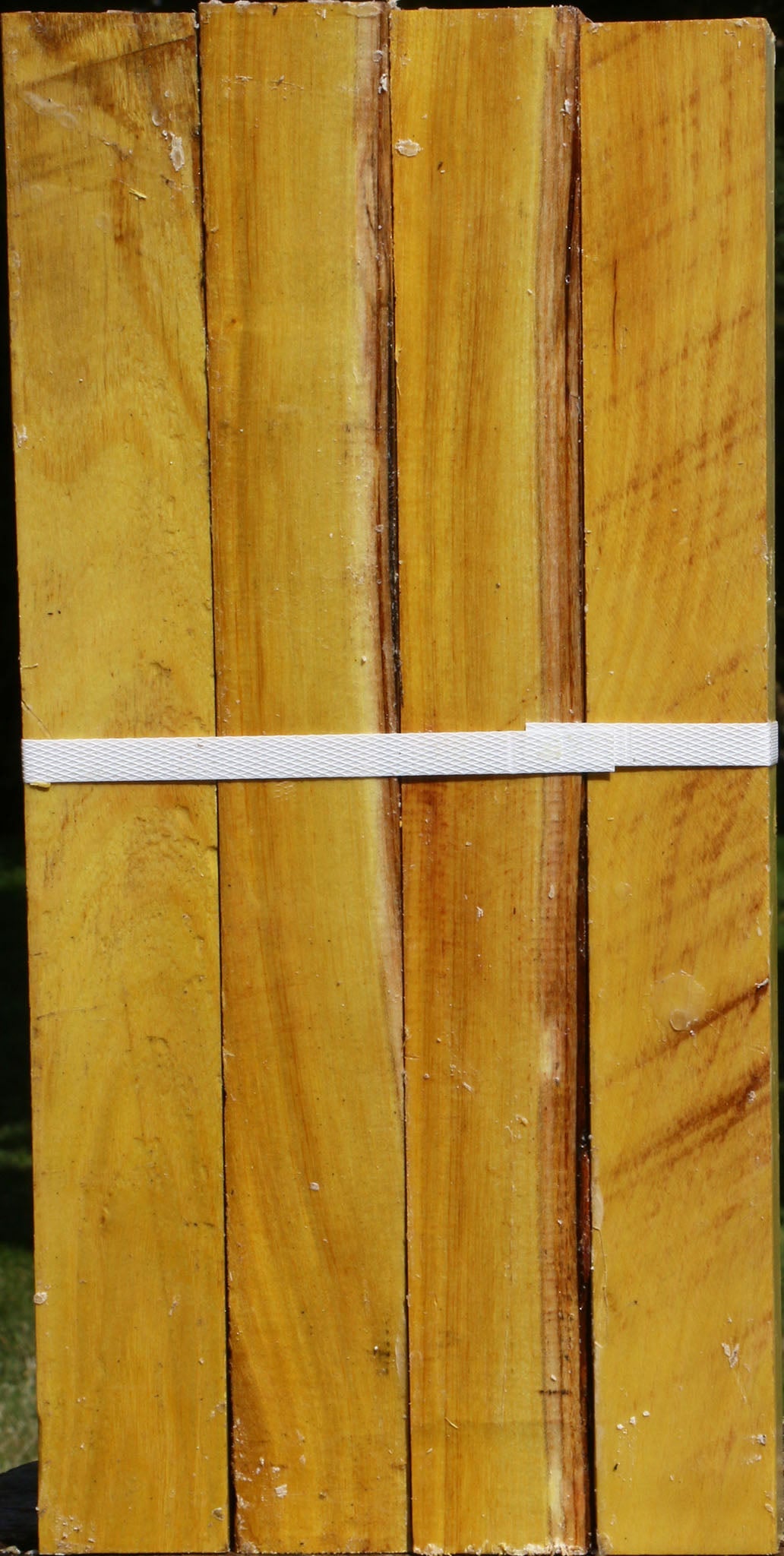 Osage Orange Turning Square 4 Pack