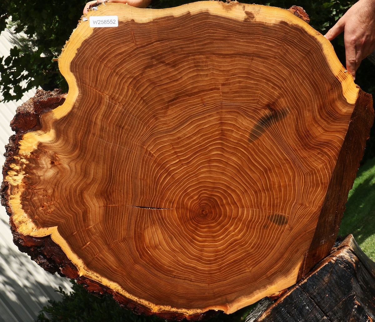 Figured Elm Cookie (Free Shipping Excluded)