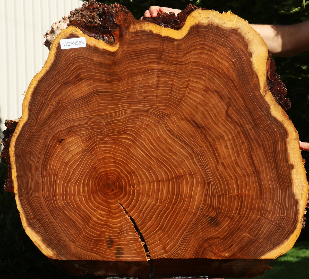 Elm Live Edge Slice
