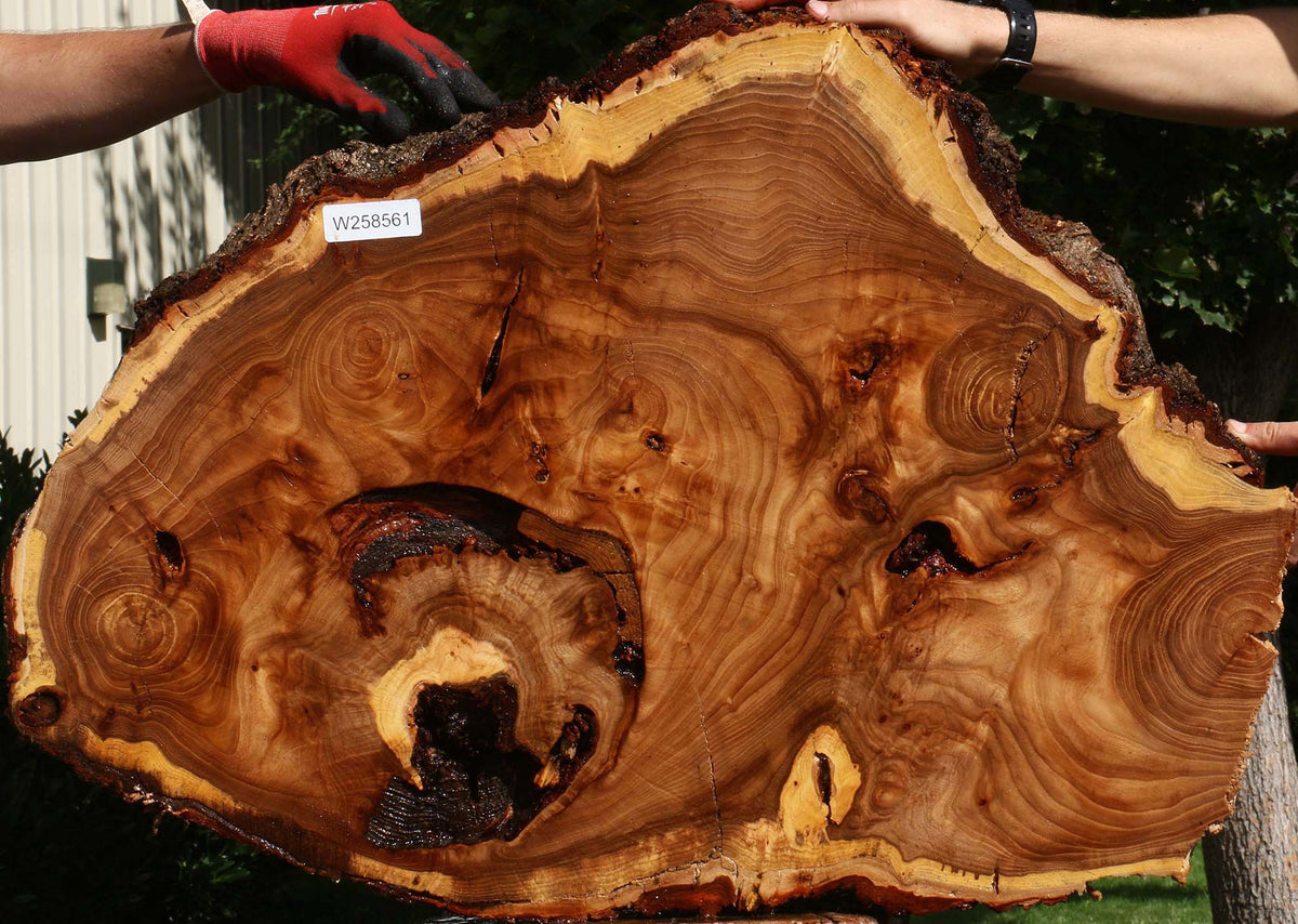 Extra Fancy Rustic Elm Cookie