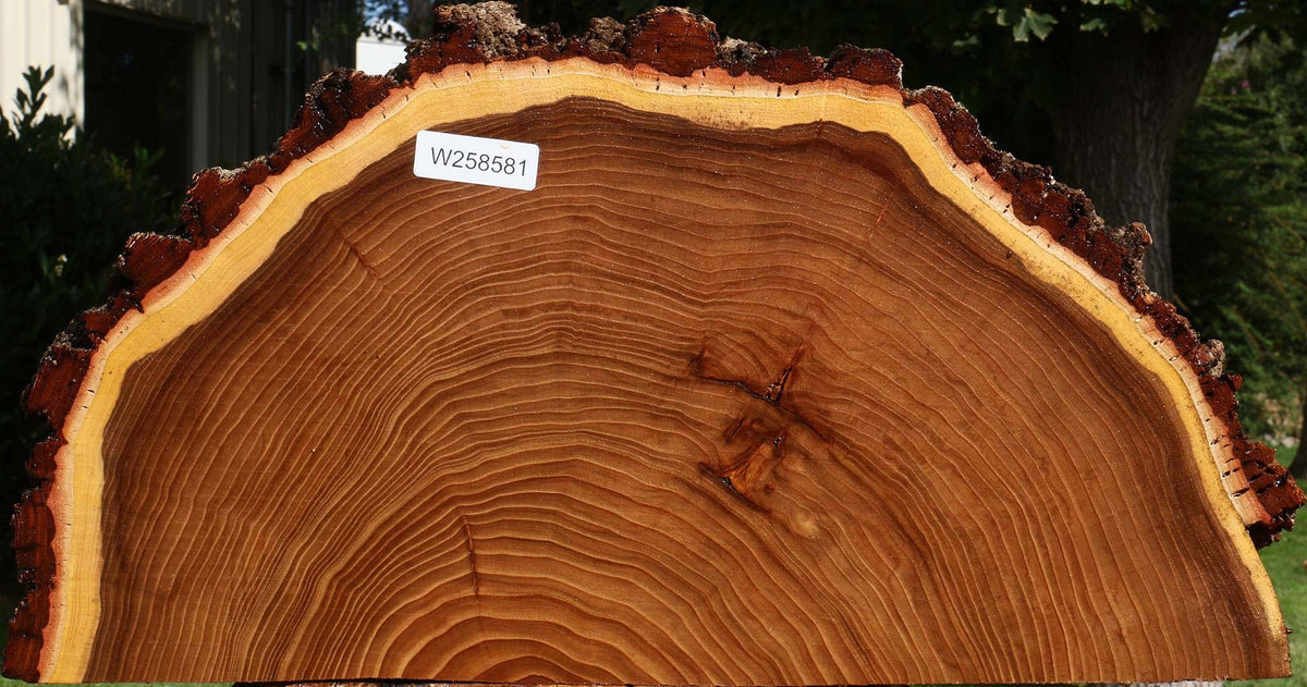 Elm Live Edge Slice