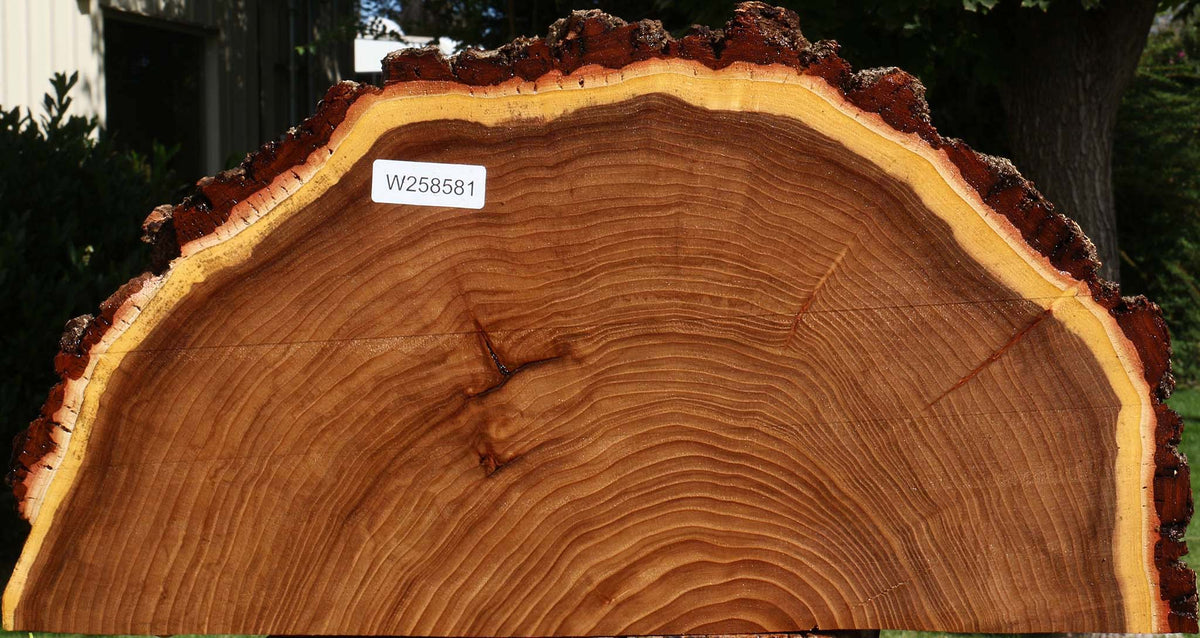 Elm Live Edge Slice