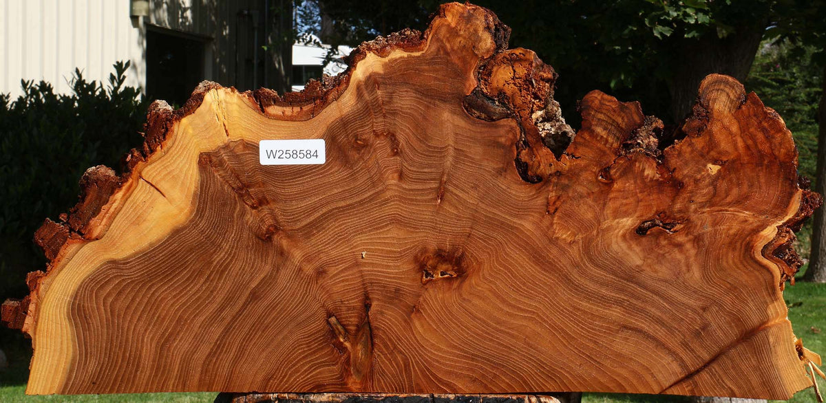 Figured Elm Live Edge Slice