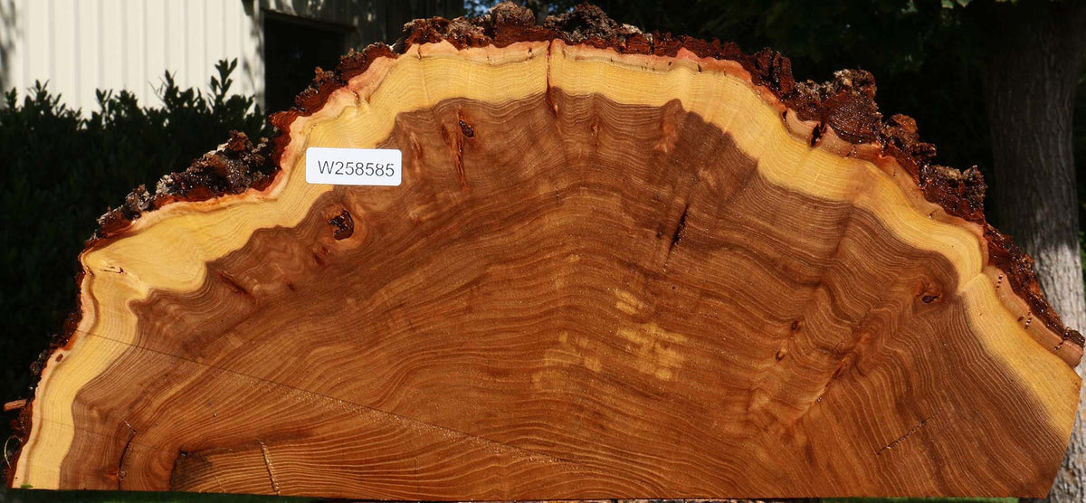 Figured Elm Live Edge Slice