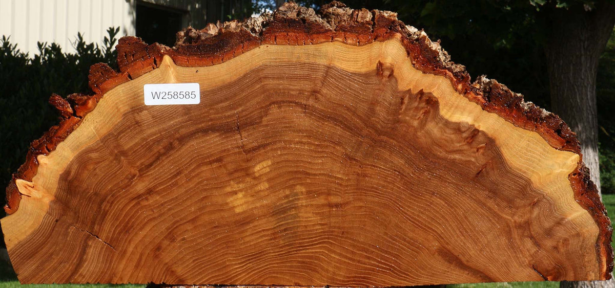 Figured Elm Live Edge Slice