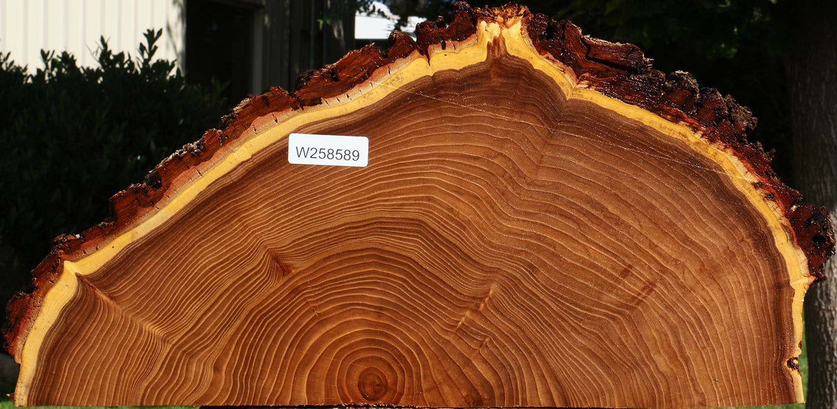 Elm Live Edge Slice