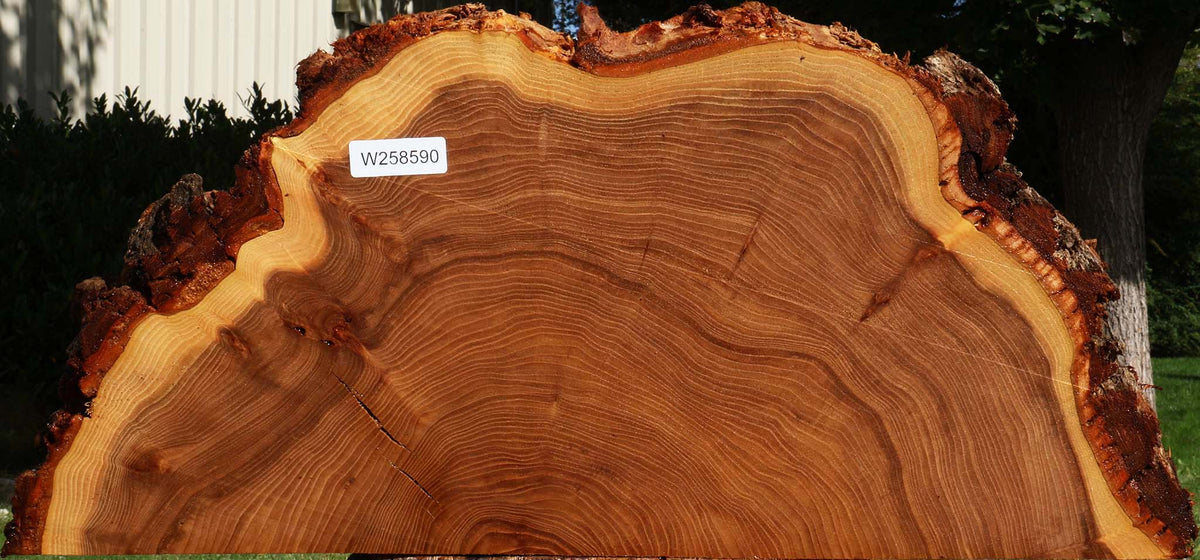 Elm Live Edge Slice