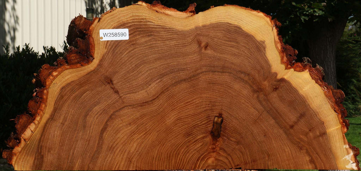 Elm Live Edge Slice