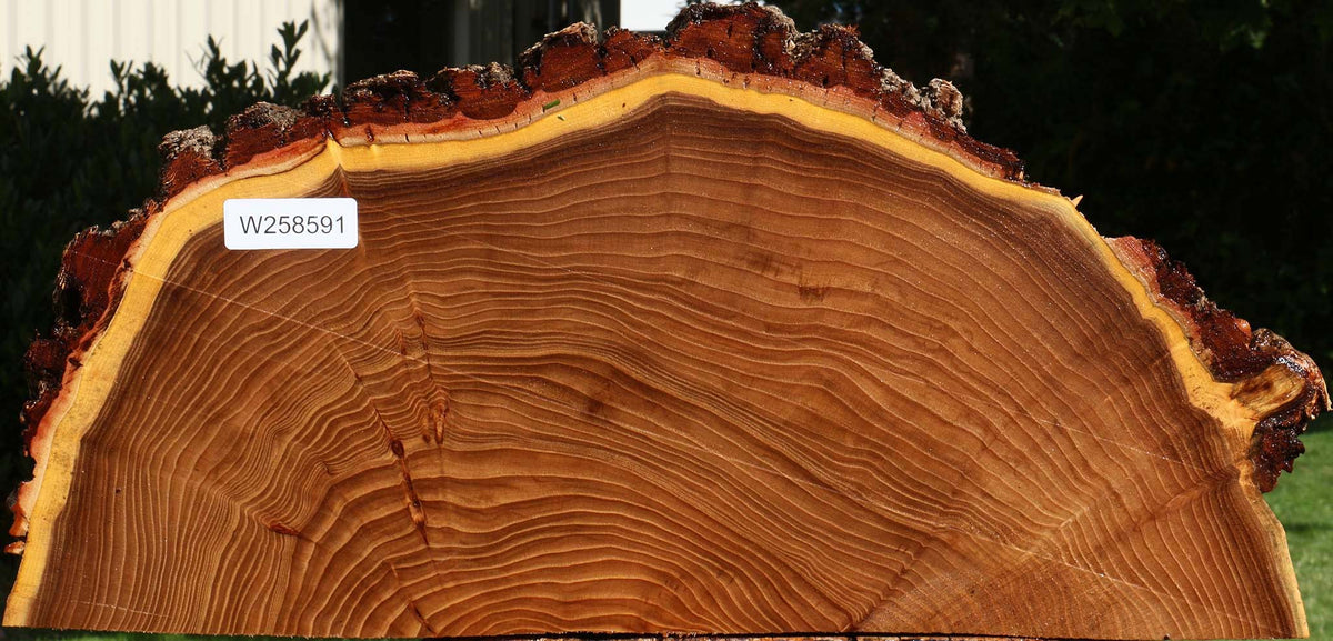 Elm Live Edge Slice