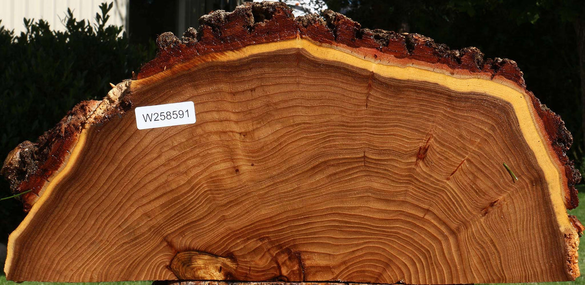 Elm Live Edge Slice
