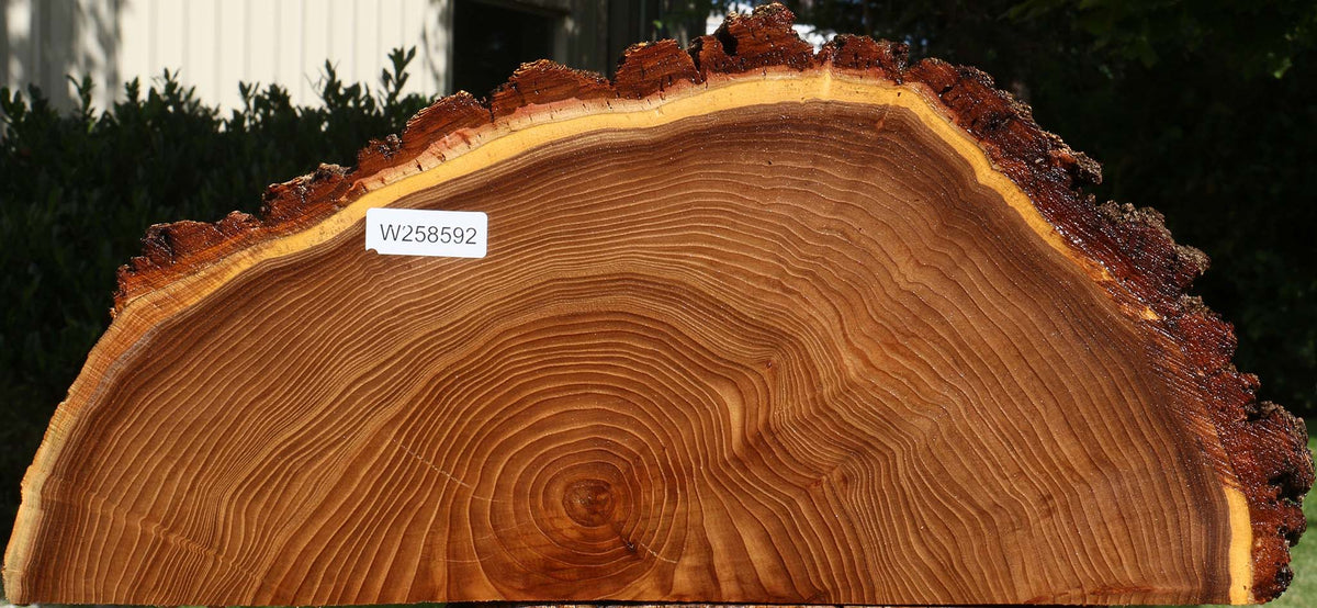 Elm Live Edge Slice