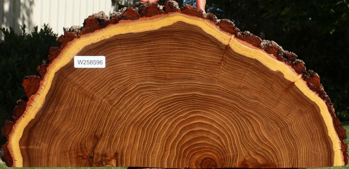Elm Live Edge Slice