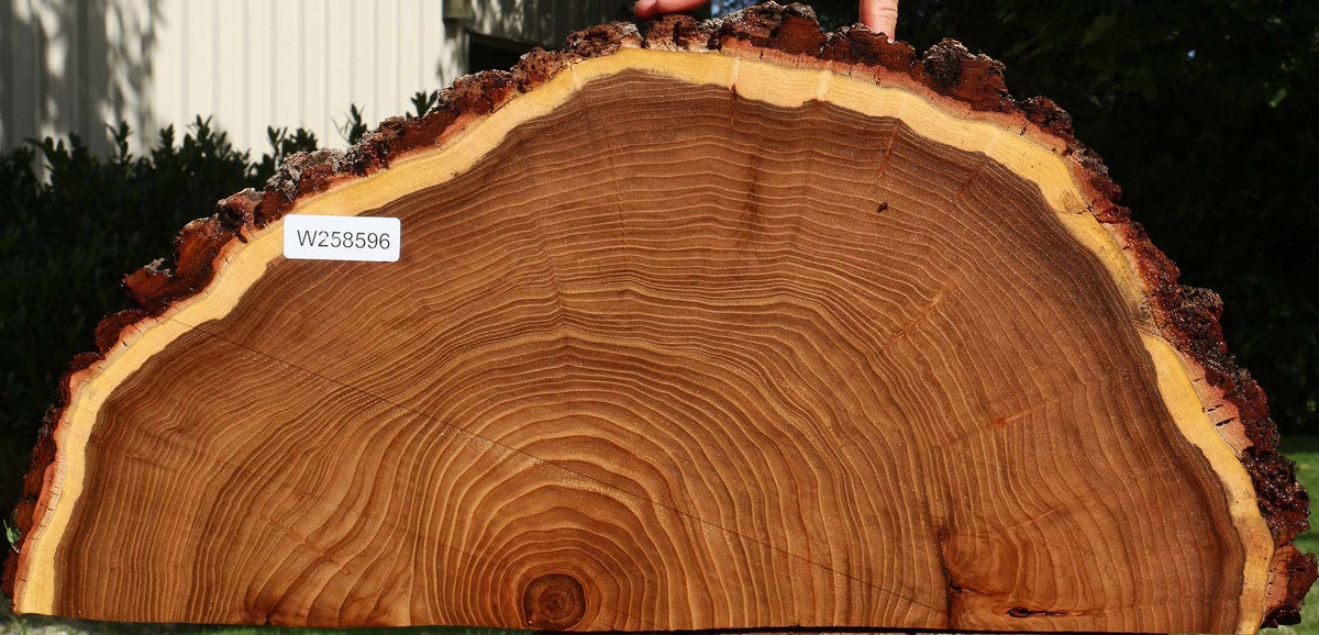 Elm Live Edge Slice