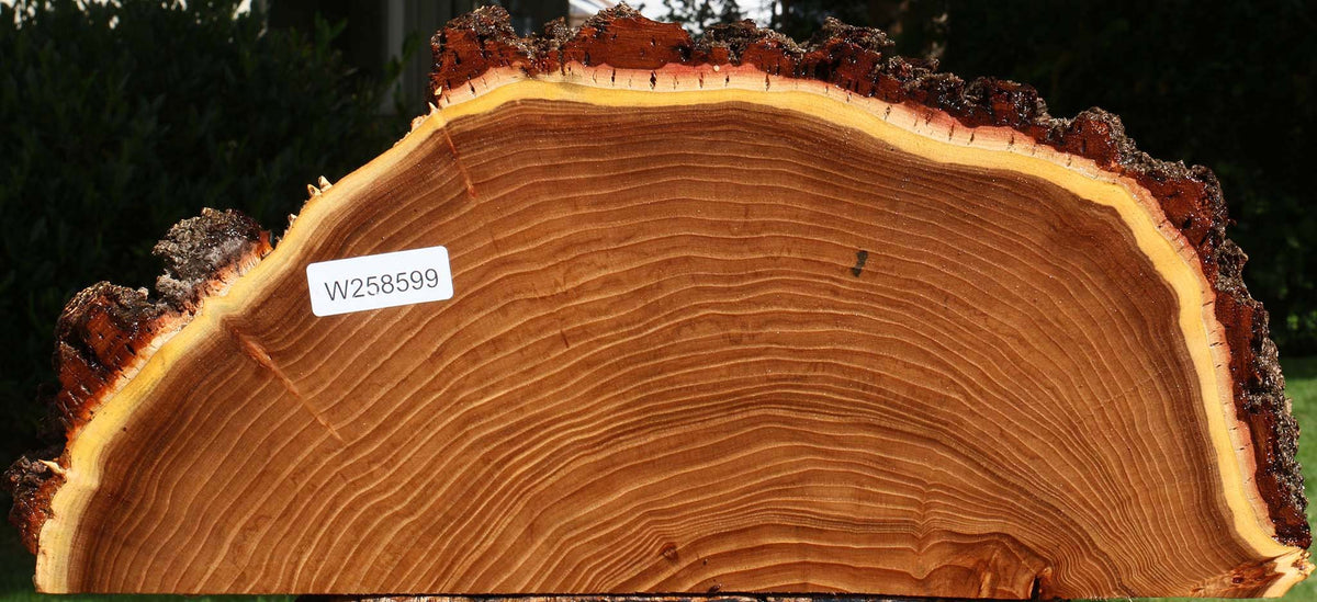 Elm Live Edge Slice