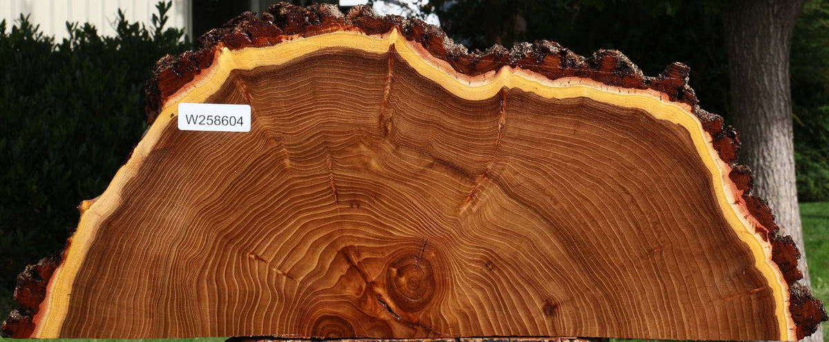Elm Live Edge Slice