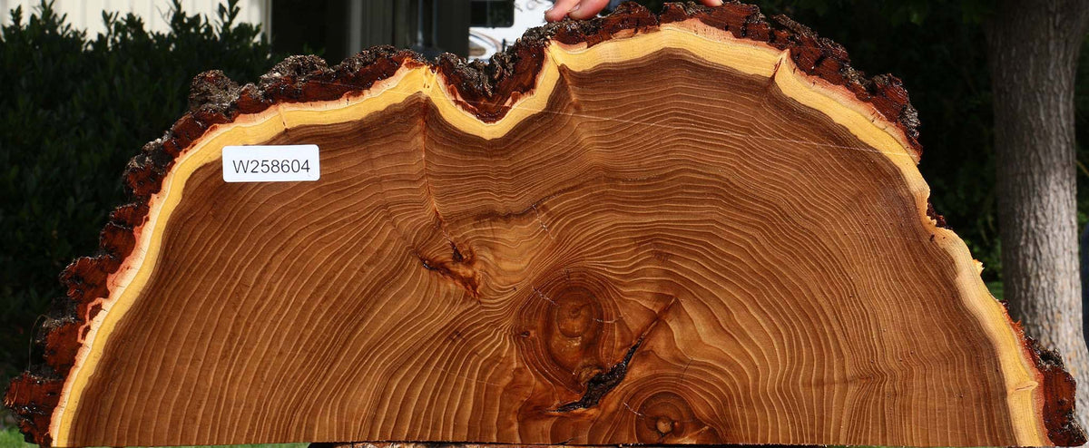 Elm Live Edge Slice