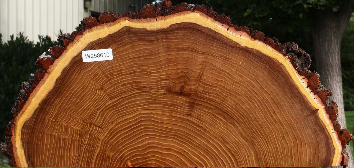 Elm Live Edge Slice