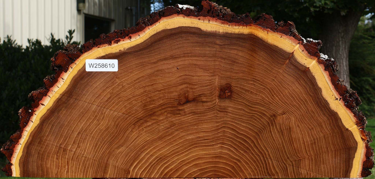 Elm Live Edge Slice