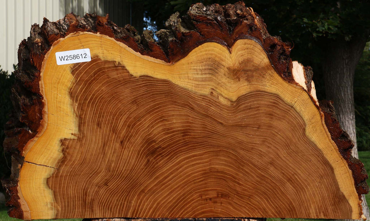 Elm Live Edge Slice