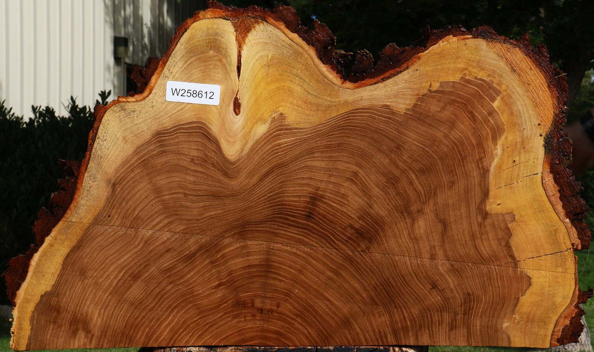 Elm Live Edge Slice