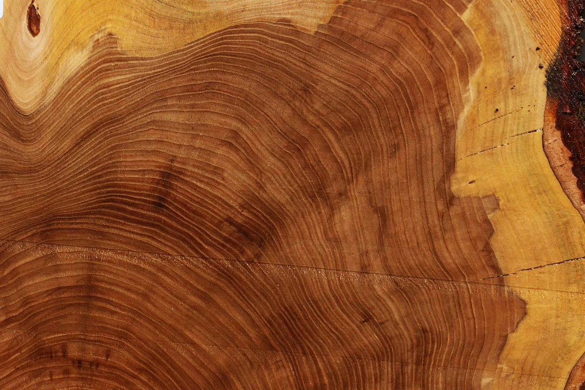 Elm Live Edge Slice