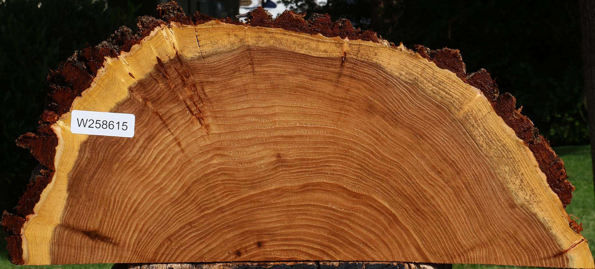 Elm Live Edge Slice