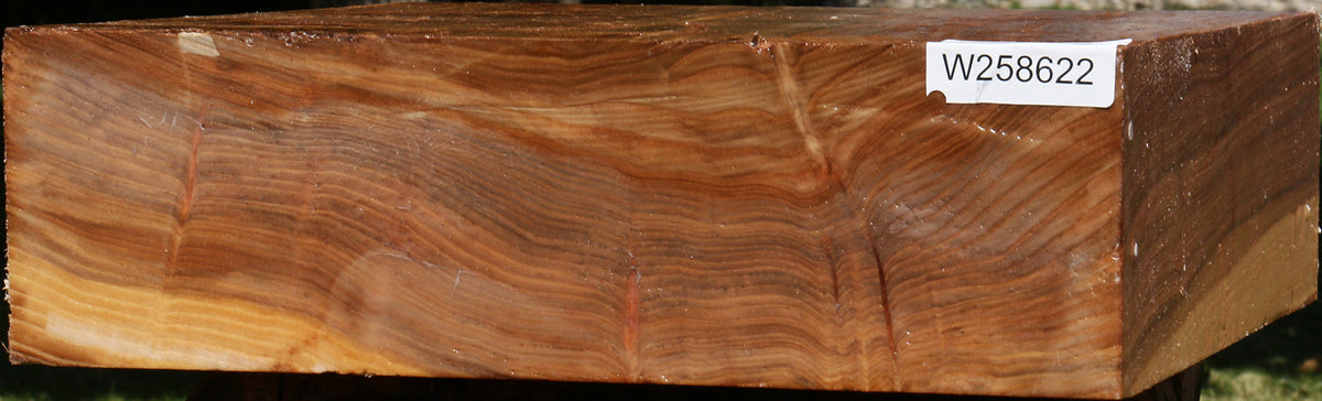 Figured Elm Bowl Blank