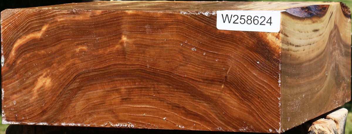 Figured Elm Bowl Blank