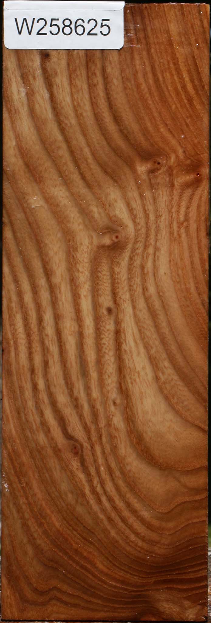 Elm Vessel Blank