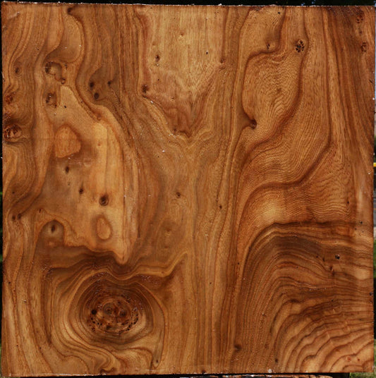 Figured Elm Bowl Blank
