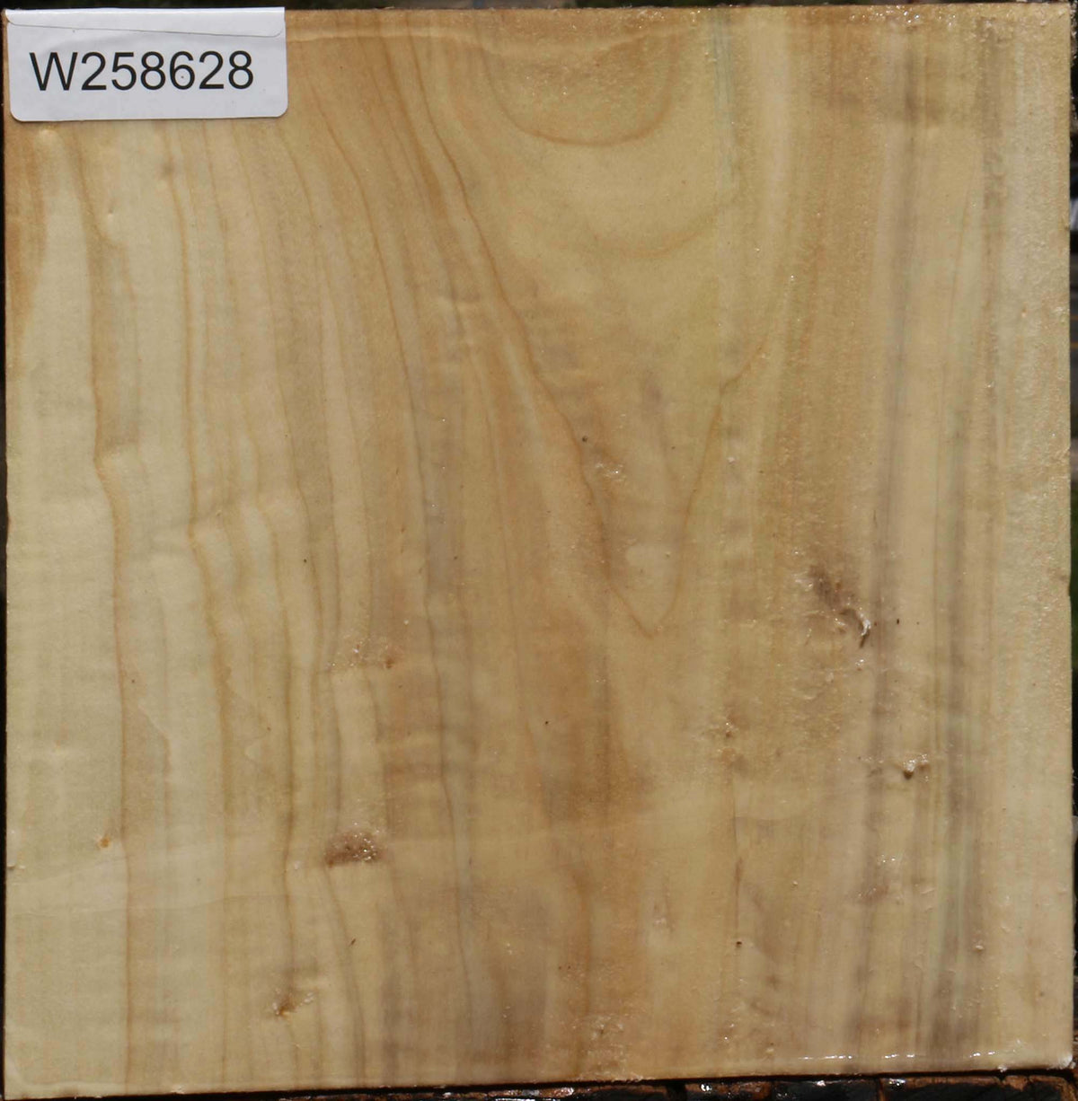 Black Cottonwood Bowl Blank